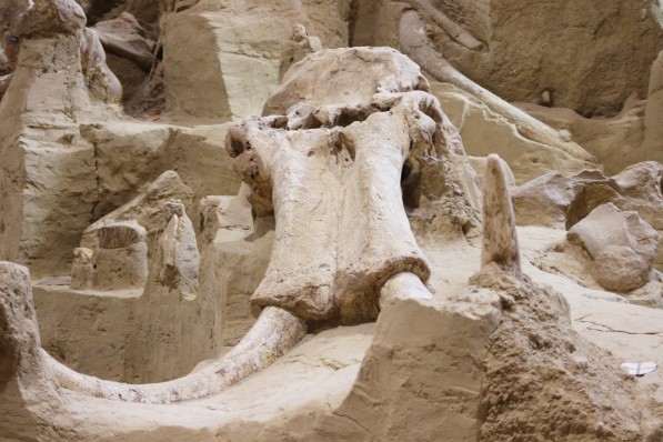 The Mammoth Site
