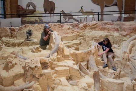 The Mammoth Site