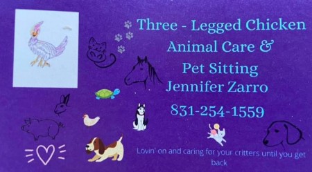 Three-Legged Chicken Pet Sitting/Animal Care
