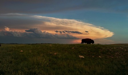  Black Hills Parks & Forests Association 